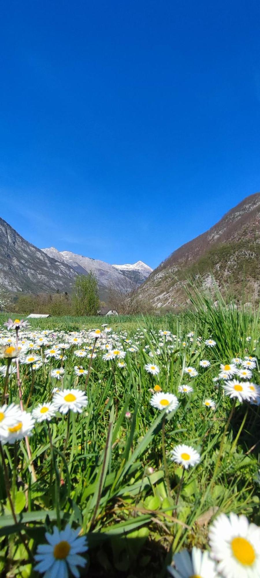 Apartma Soca Oasis Srpenica Bagian luar foto