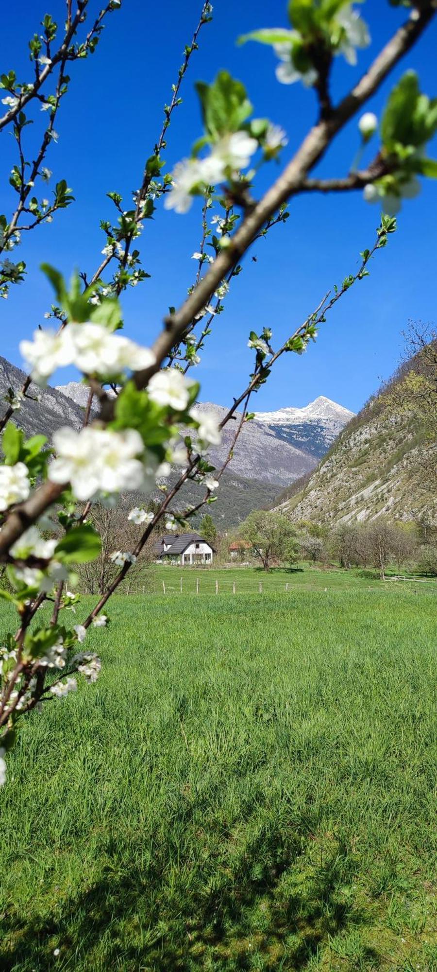 Apartma Soca Oasis Srpenica Bagian luar foto